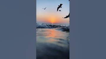 {إن الله وملائكته يصلون على النبي...} سورة الأحزاب الشيخ عبدالرحمن مسعد #جدة