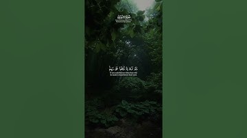 .Surah Al-An'am | 27-31 | Muhammad Al Luhaidan | سورة الأنعام | محمد اللحيدان