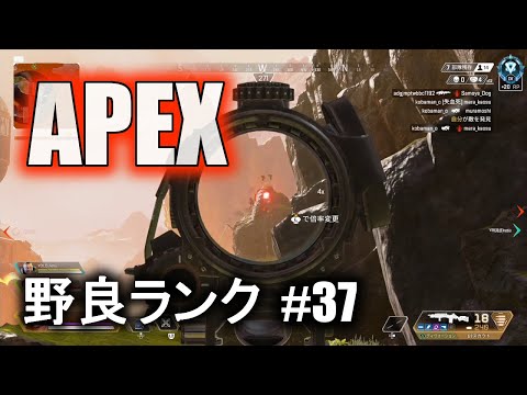【Apex】野良でランクマッチを頑張る！#37【プラチナ帯】