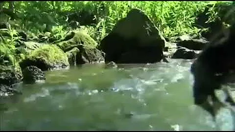 EPA urged to clean up water contamination (imitation)