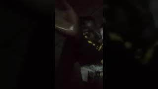 Swat Of Ethics Music Group Beaten Up Mercilessly