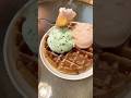Fresh Waffles Topped with Gelato #food #foodie #foodlover #foodblogger #gelato #waffle #music #song