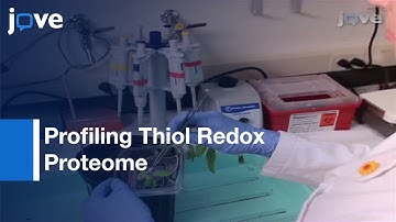 Profiling Thiol Redox Proteome Using Isotope Tagging Mass Spectrometry l Protocol Preview