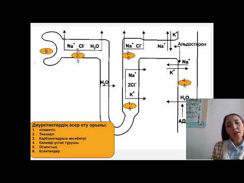Бейне: Тиазидті диуретиктер қандай тасымалдаушыны тежейді?