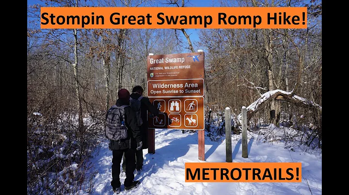 Metrotrails Stompin Great Swamp Romp Hike!