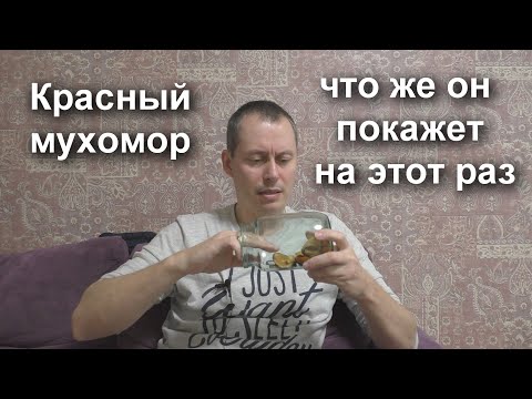 Врываемся в КВАНТОВЫЙ МИР через КРАСНЫЙ МУХОМОР и подсознание. БОЛЬШАЯ сила в знающих руках. 1 серия