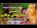 Jesen wathando naka e nokri  sehra ameeran begum ja  sindhi shadi song