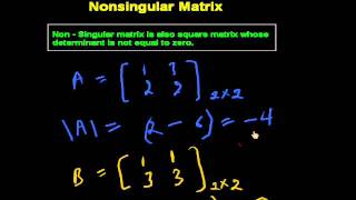 Nonsingular Matrix Net Worth