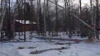 Two Idiots Tree Cutting Service