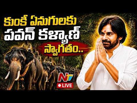 Live : కుంకీ ఏనుగులకు Dy CM పవన్ కళ్యాణ్ స్వాగతం! | Ntv teluygu - NTVTELUGU