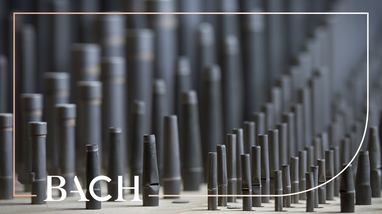 Bach - Toccata, adagio and fugue in C major BWV 564 - Smits | Netherlands Bach Society