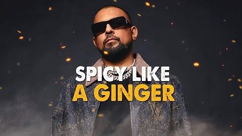 Sean Paul - Ginger [Lyrics]