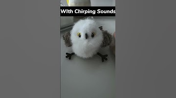 New Interactive Cat Toys Flapping Chirping Bird Toy China Manufacturer #cat #kitty #cattoys