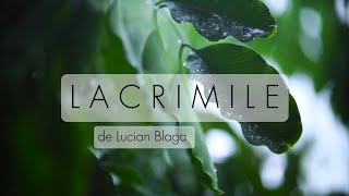 Lucian Blaga / LACRIMILE