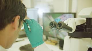 Ecolab Pest Elimination Anthem Video