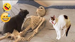 YOU LAUGH YOU LOSE😁Best Funny Animals Video 2024🤣🐶part 3