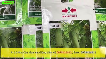 bán hạt giống dưa chuột nhập khẩu thái lan ai có nhu cầu mua liên hệ shop , giao hàng toàn quốc