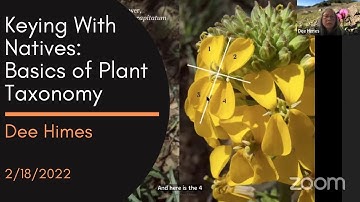 Keying With California Native Plants: Basics of Plant Taxonomy 2/18/2022