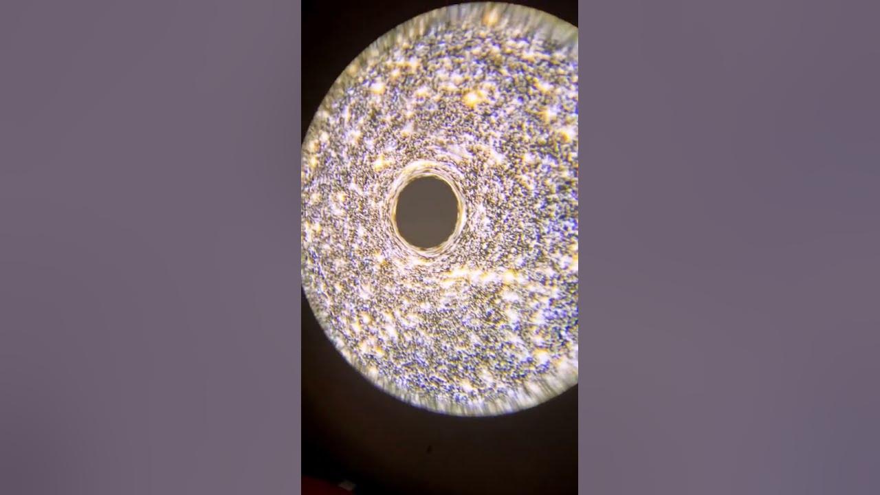 CREATIVE How To Make Romance Starry Night EASY METHOD smartliving creative-how-to-make-romance-starry-night-easy-method-smartliving