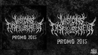 VISIONS OF DISFIGUREMENT [OFFICIAL PROMO STREAM] (2015) SW EXCLUSIVE