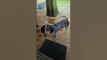 HE S GOT WAY TOO MUCH TO SAY 