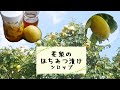 【のど飴でもおなじみ】花梨のはちみつ漬け