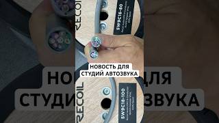 Теперь Recoil SW9C16 будут в катушках #автозвук #automobile #recoilaudio