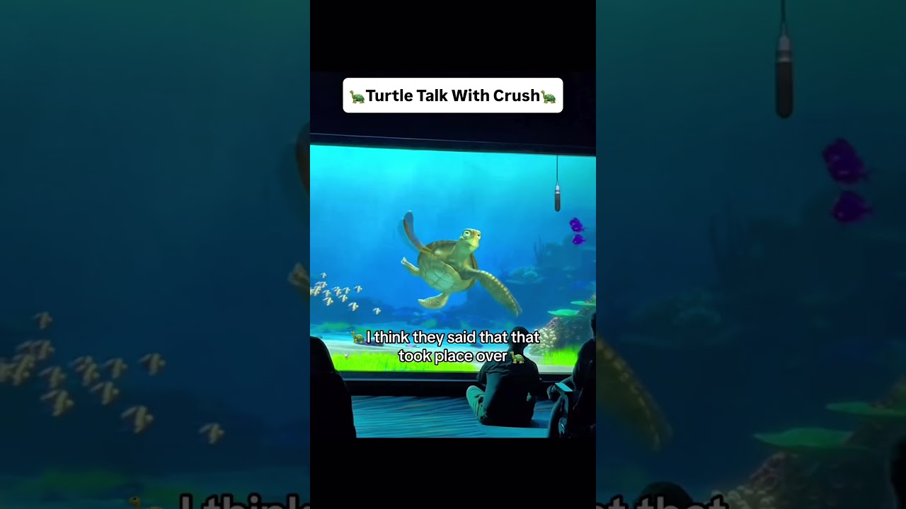 Turtle Talk With Crush #disneyland #disneyworld #disneyparks