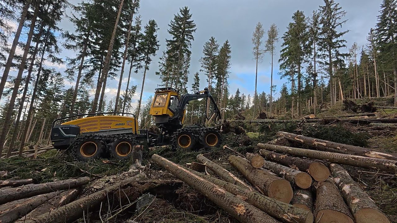 Eco Log 688 [ Steephunter ] im Windwurf ( Vol. 3 )