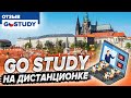 Выучила чешский в Москве. Отзыв о дистанционных курсах Go Study