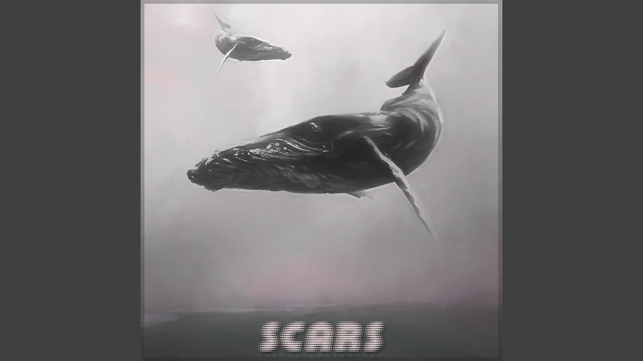 Guarda Scars su YouTube Guarda Scars su YouTube