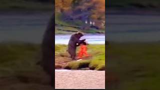 How To Fight a Bear for Salmon. John West Commercial #how #shorts #fight How To Fight a Bear for Salmon. John West Commercial #how #shorts #fight