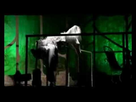 Выход Мадам. ("Служанки"Р.Виктюк) Daniel Lavoie - Ils s ...