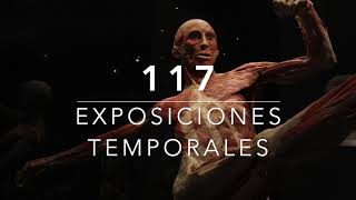 13º aniversario / 117 Exposiciones Temporales