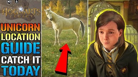 Hogwarts Legacy: Unicorn Location GUIDE! How To Get A "Unicorn" TODAY! (Mythical Beast Guide)