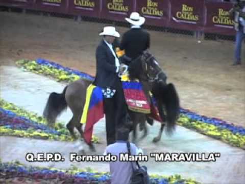 "Maravilla" Fernando Marin Murio 07-20-2011