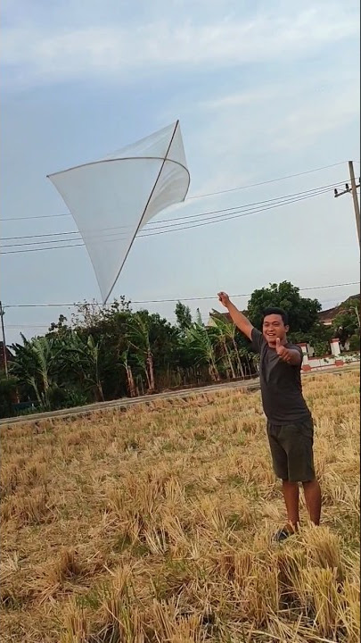 transparent jumbo kite size 2 meters #kite #transparent #creation #jumbo
