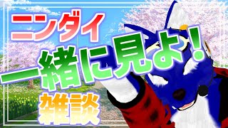【 雑談配信 】ニンダイ一緒に見よー！！【 #ケモノVtuber 】