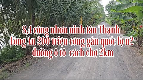 Số87/ chị chủ kẹt tiền bán 8,4 công lô cho con ăn học vị trí đất tìm năng sinh lời cao tân Thạnh LA