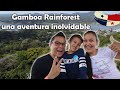 Gamboa rainforest panam telefrico perezosos mariposario y ranario  los mapamundis 