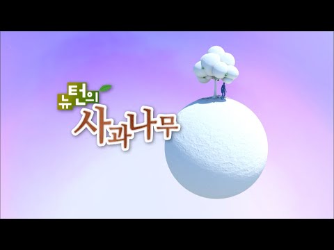 하루 만에 뚝딱! 조립형 주택 [뉴턴의 사과나무] / KBS대전 20131026 방송