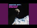 Mercury Rev - Inner Autumn Outer Space