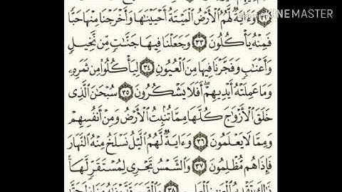 سورة يس - من آية ( ٢٨ ) إلى آية ( ٤٠ ) - للقارئ : عبدالرحمن السديس .