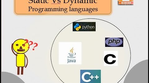 Static vs Dynamic Languages Explained | Programming Basics