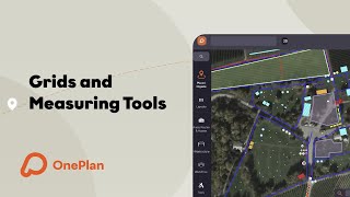 Grids and Measuring Tools