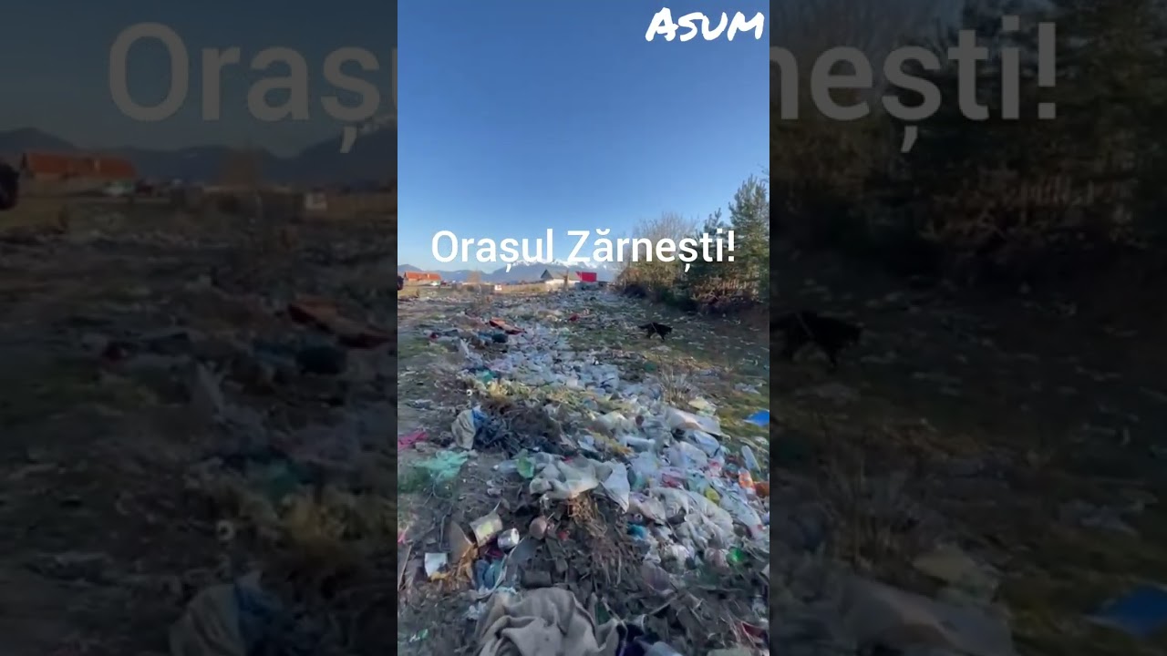 Orașul Zărnești-2023!