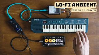 Lo-fi ambient live loop | Casio SA-2 + Loopy Pro
