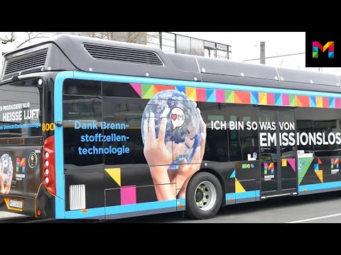 Der Brennstofffzellenbus der Mainzer Mobilität