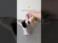 鍵がない!ティッシュがない!を全部解決するSeria収納術✨