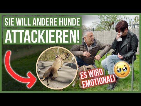 Video: Hundeparketikette: Was Sie aus meinen Fehlern lernen können